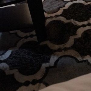 Meet your Posher, Bella